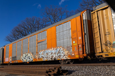 TTGX 693623