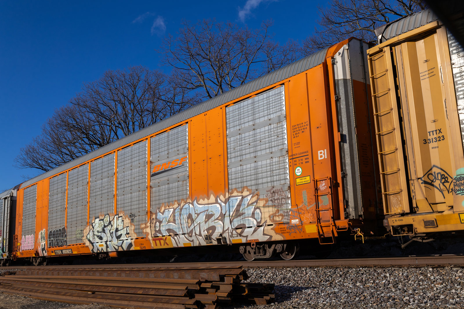 TTGX 693623
