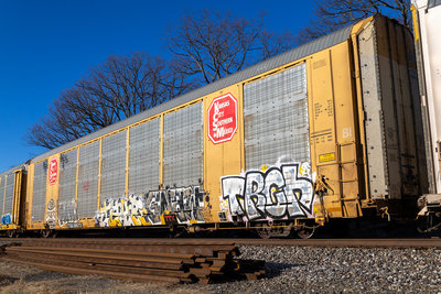 TTGX 691273