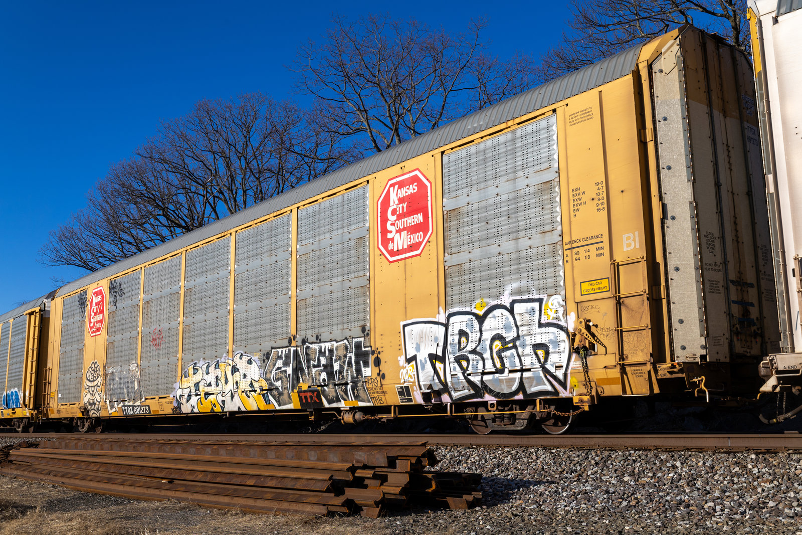 TTGX 691273