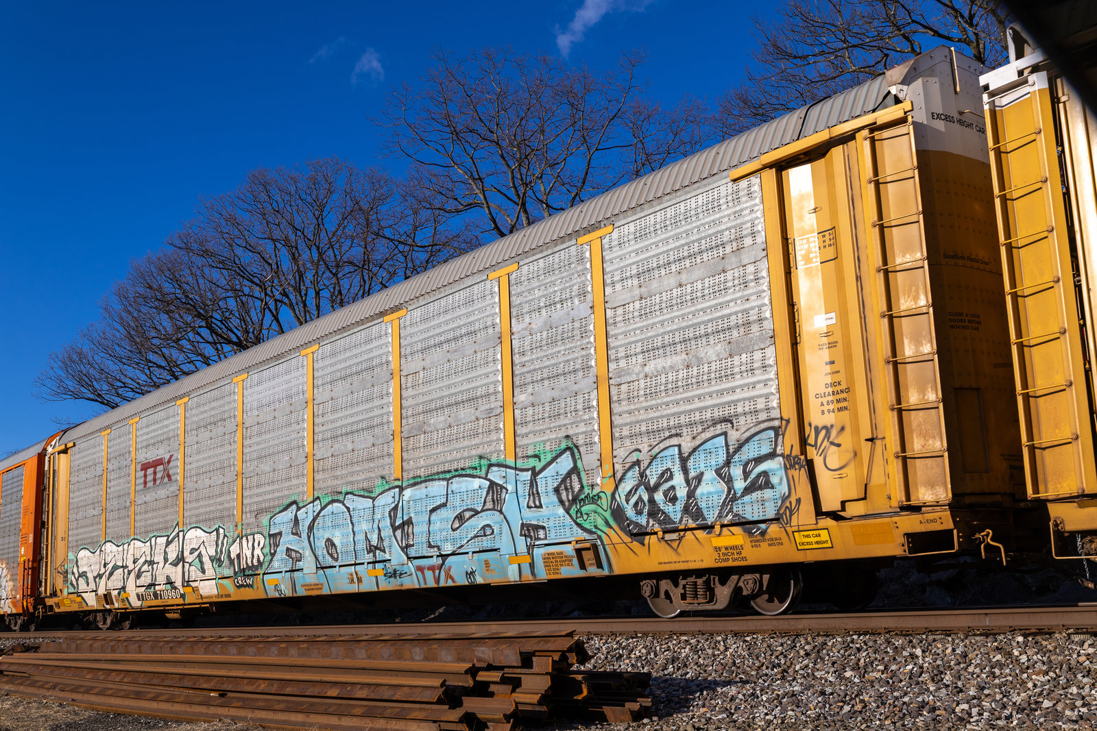 TTGX 710960
