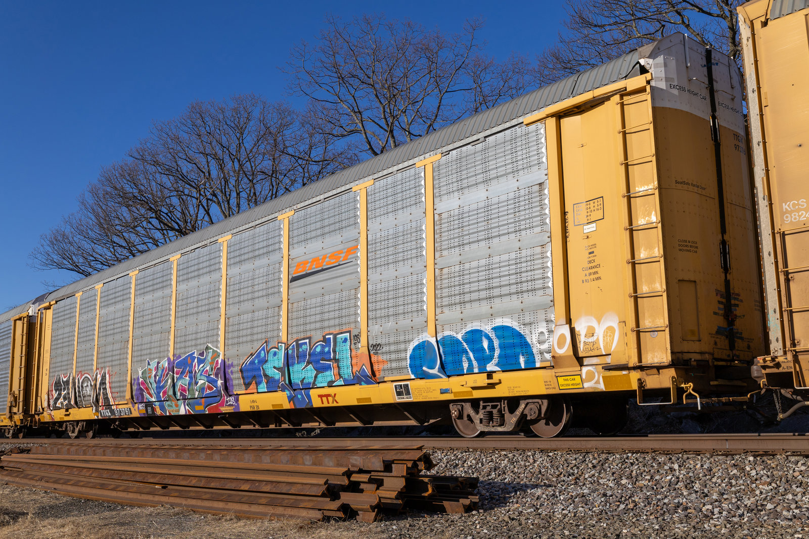TTGX 973761