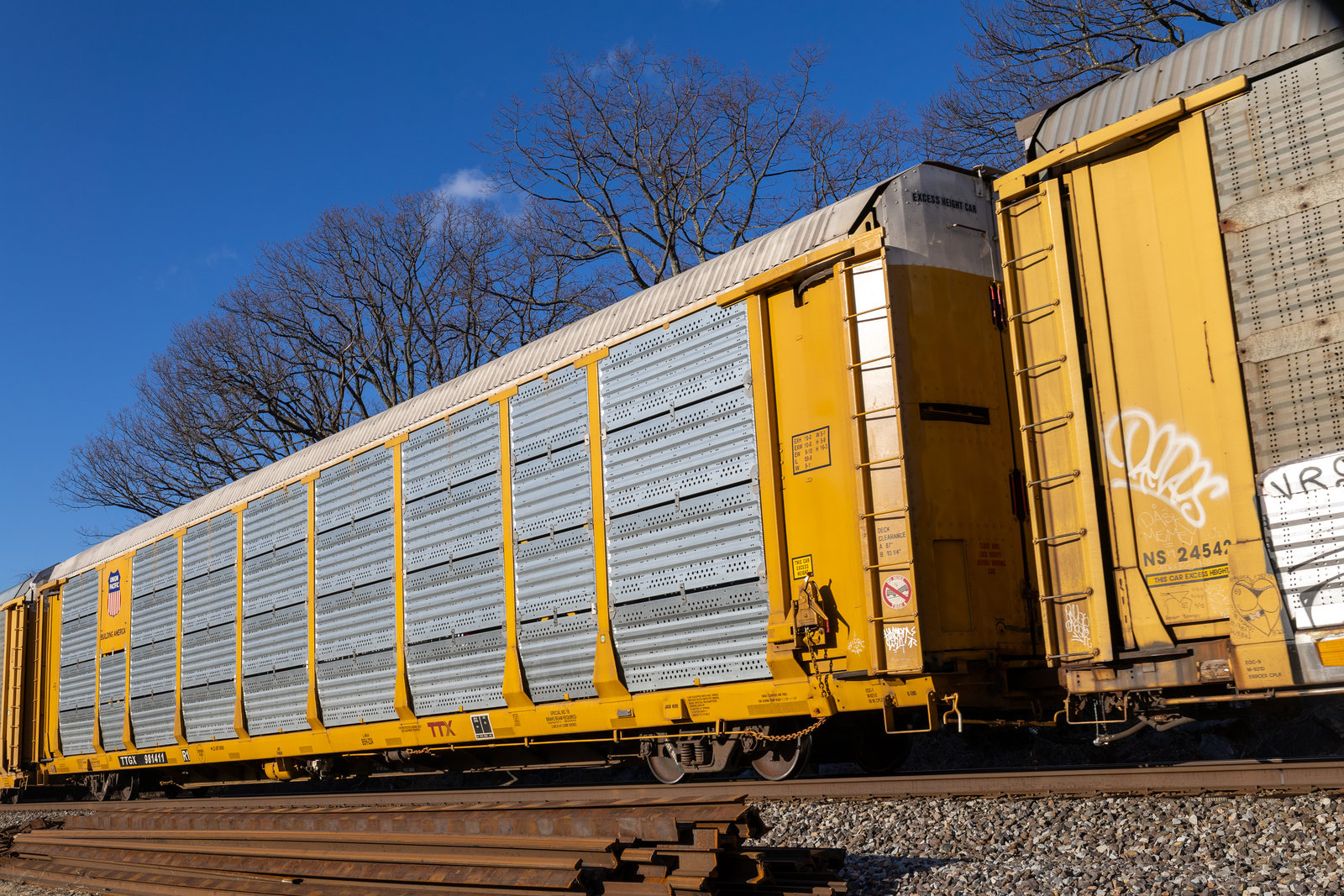 TTGX 981411