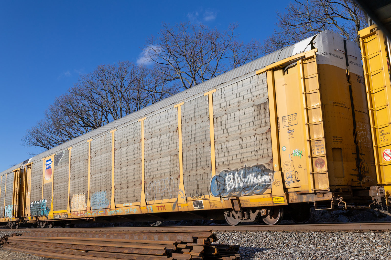 TTGX 988613