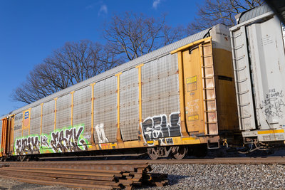 TTGX 981165