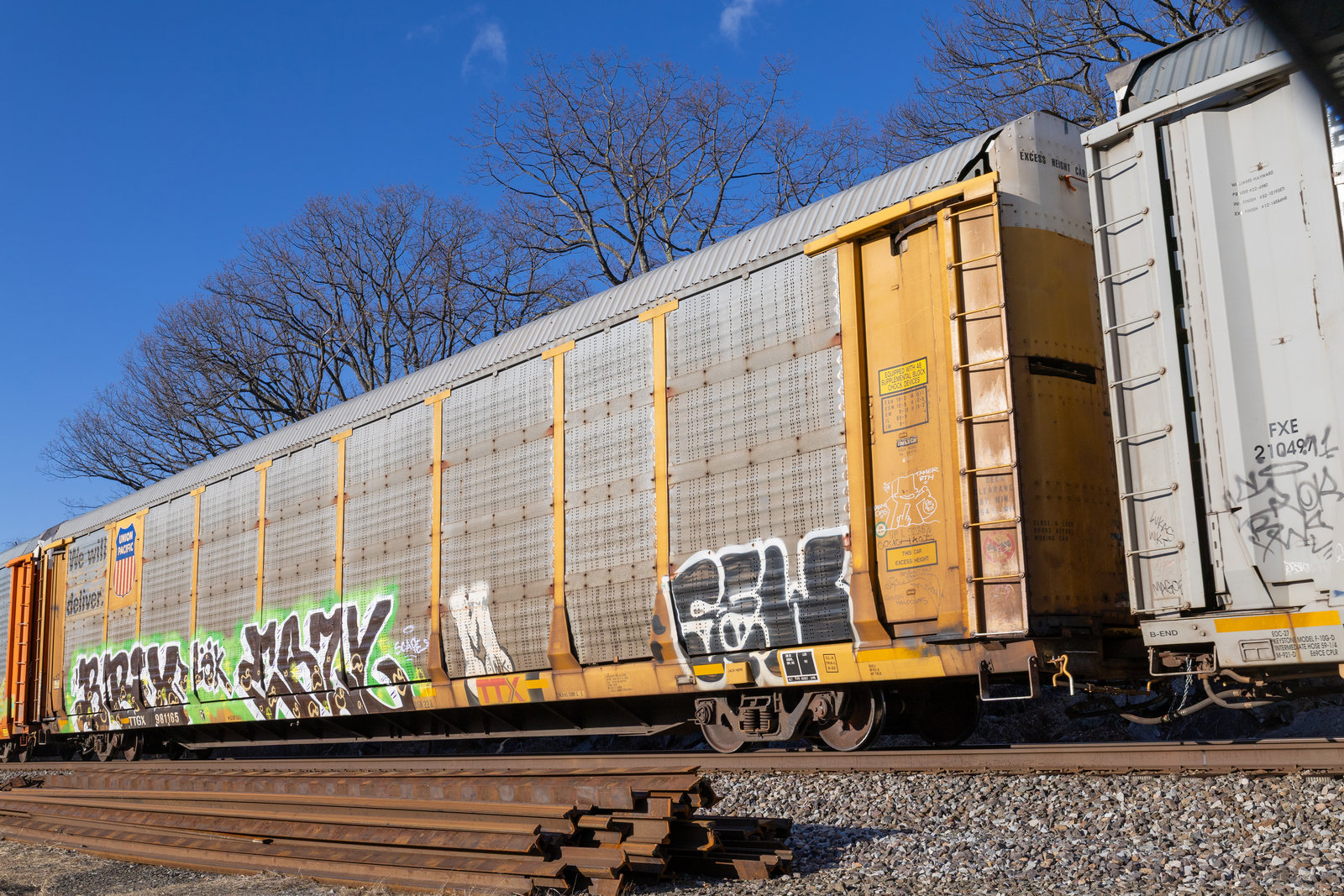 TTGX 981165