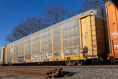 TTGX 988372