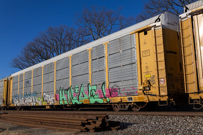 TTGX 964882