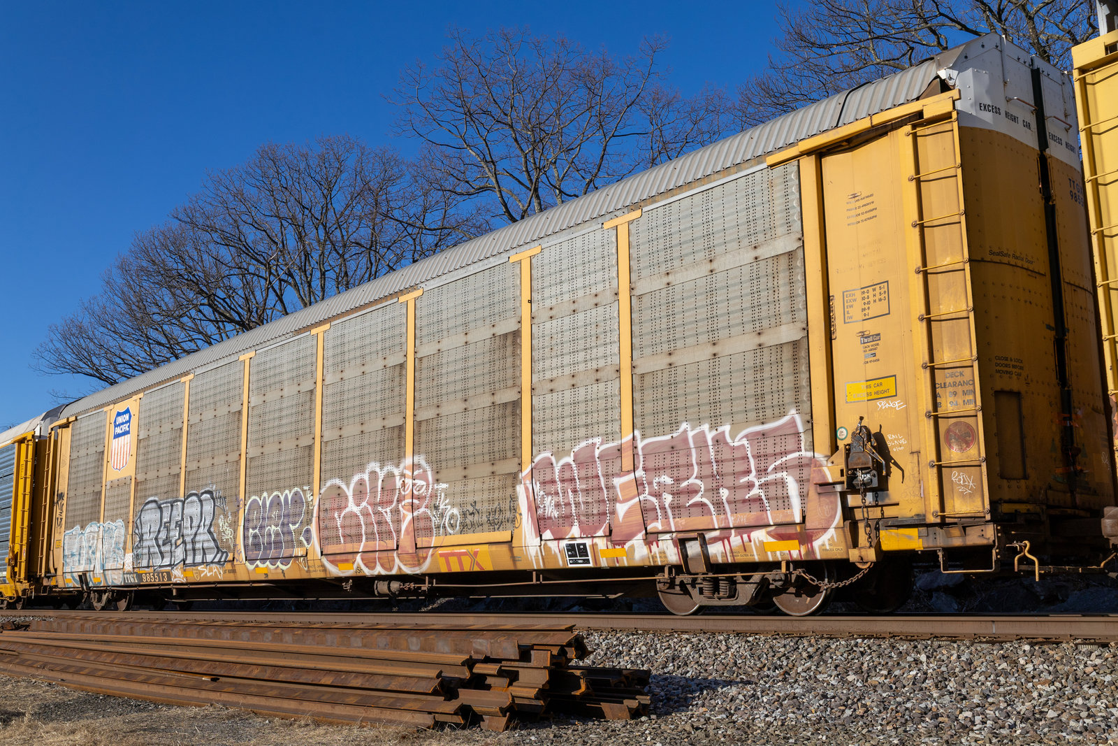 TTGX 985513