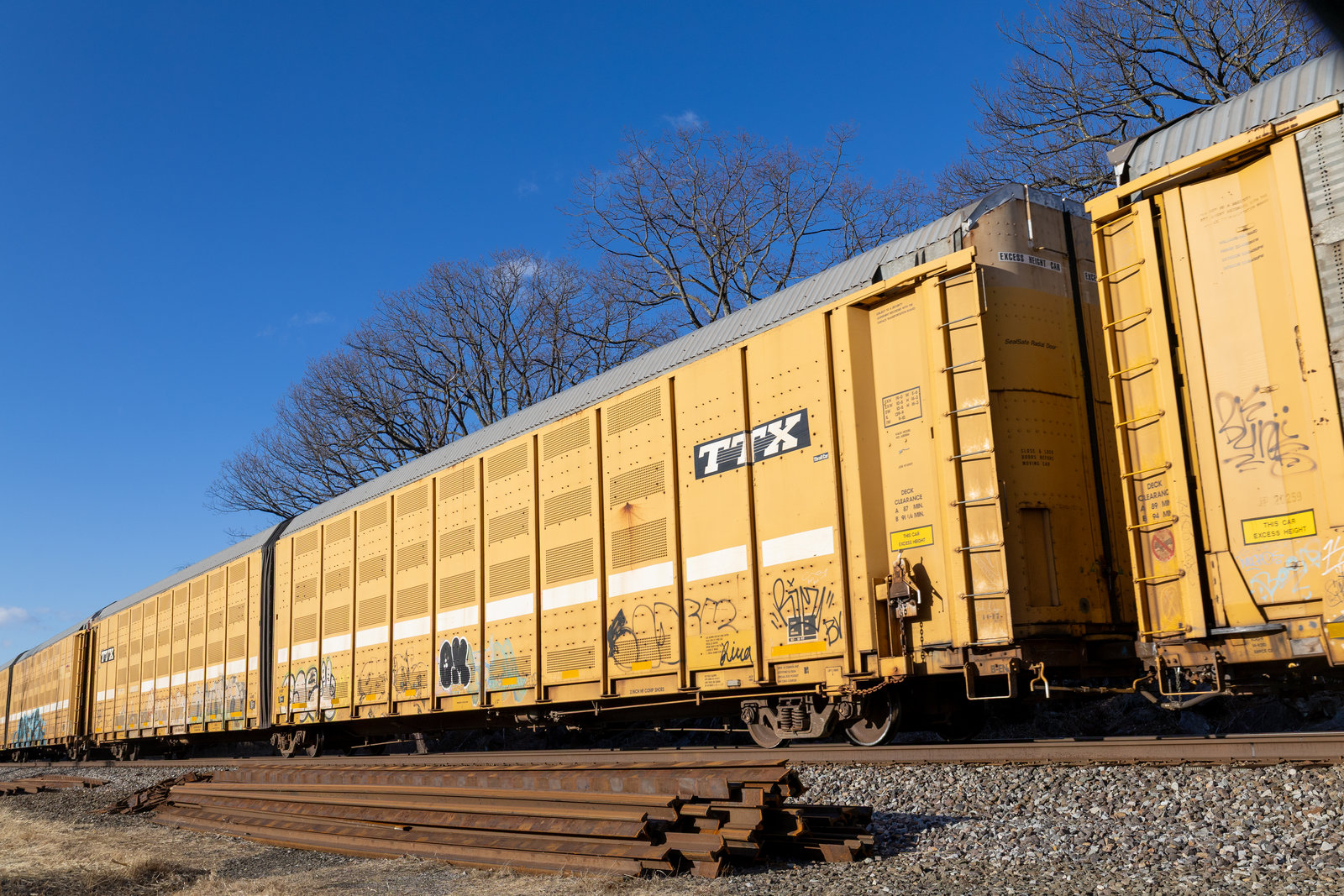 BTTX 880136