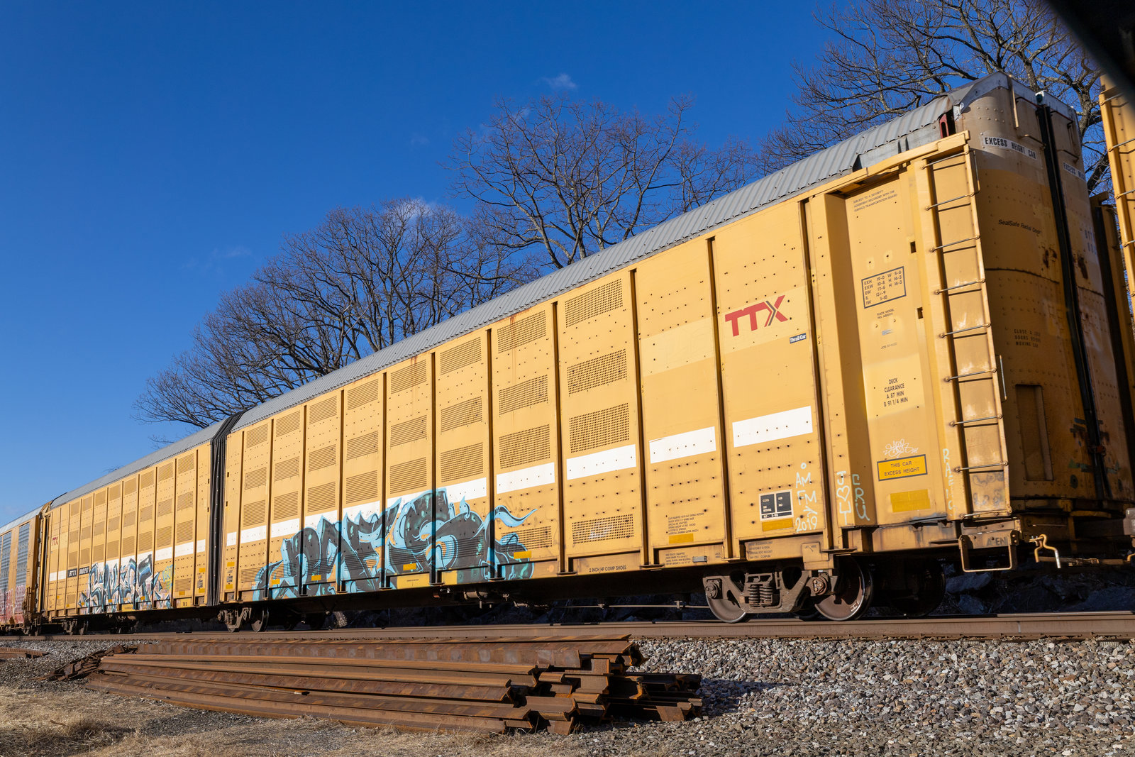 BTTX 880207