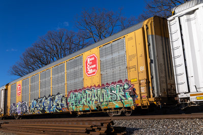 CTTX 695085