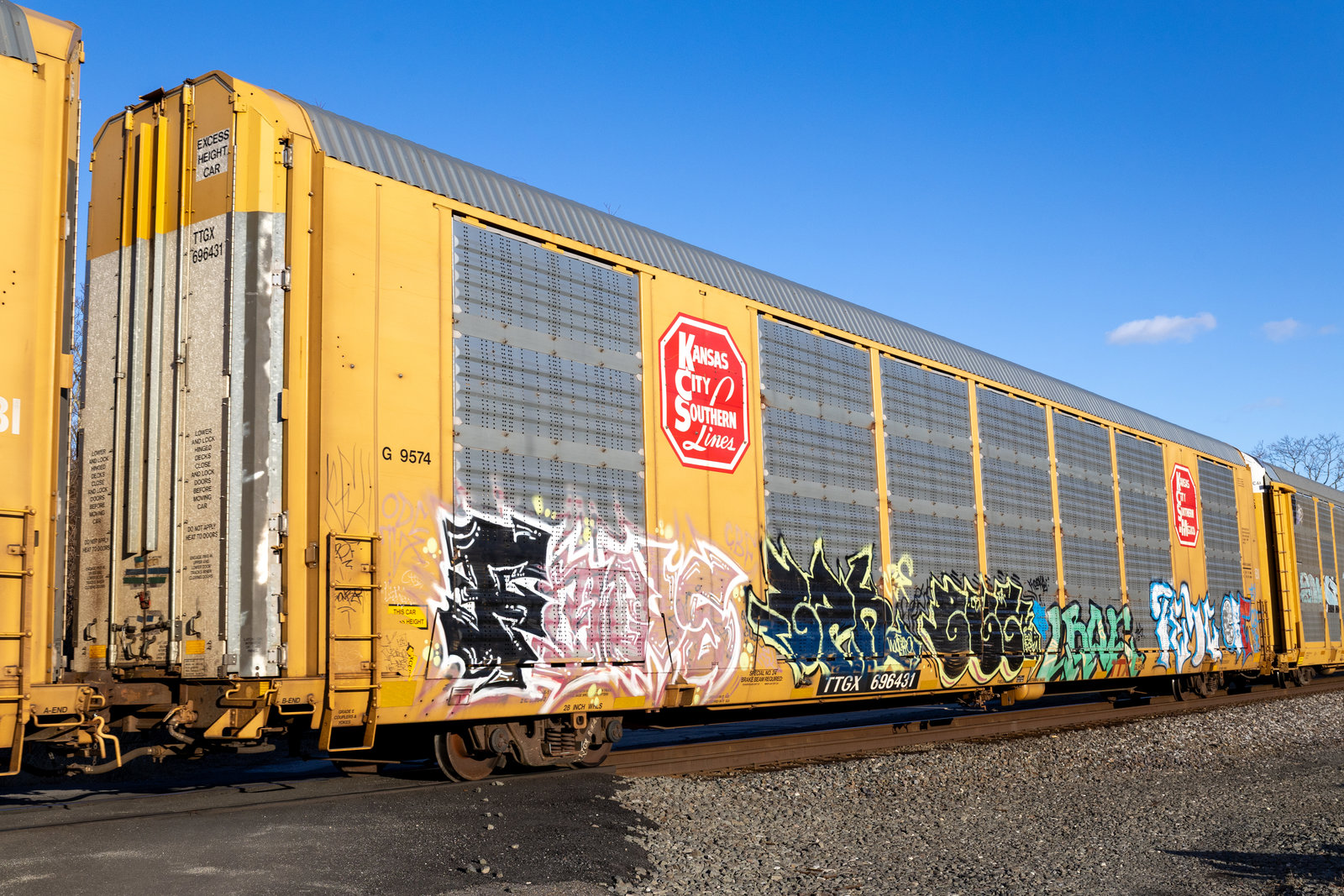TTGX 696431