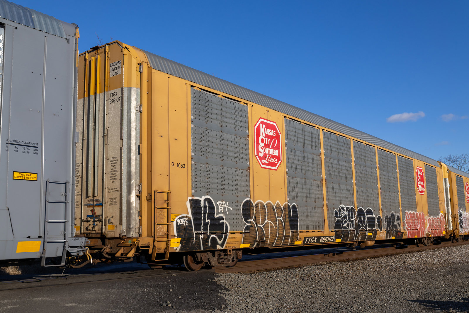 TTGX 696109