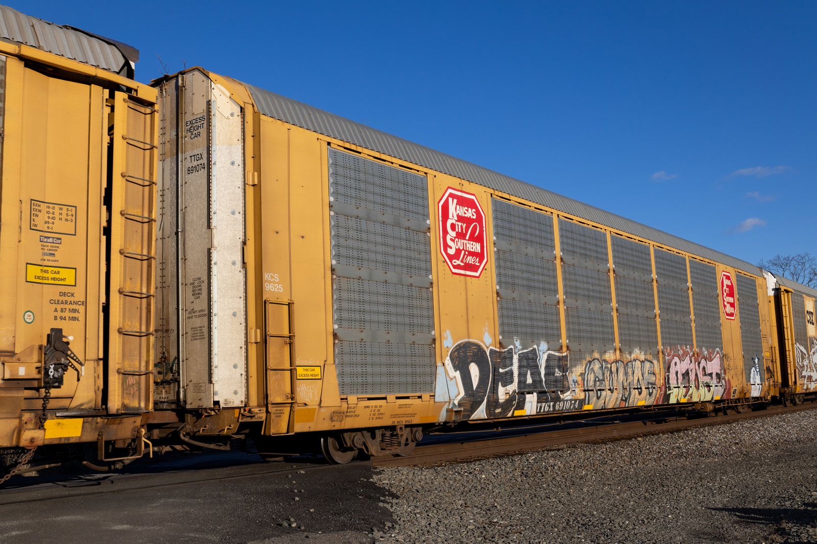 TTGX 691074