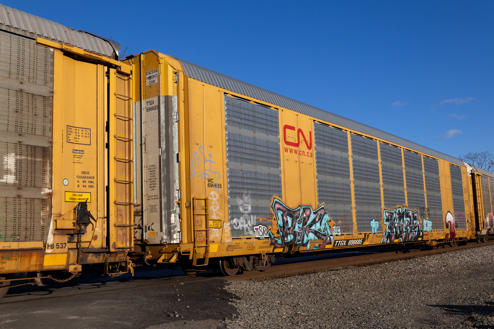 TTGX 696685