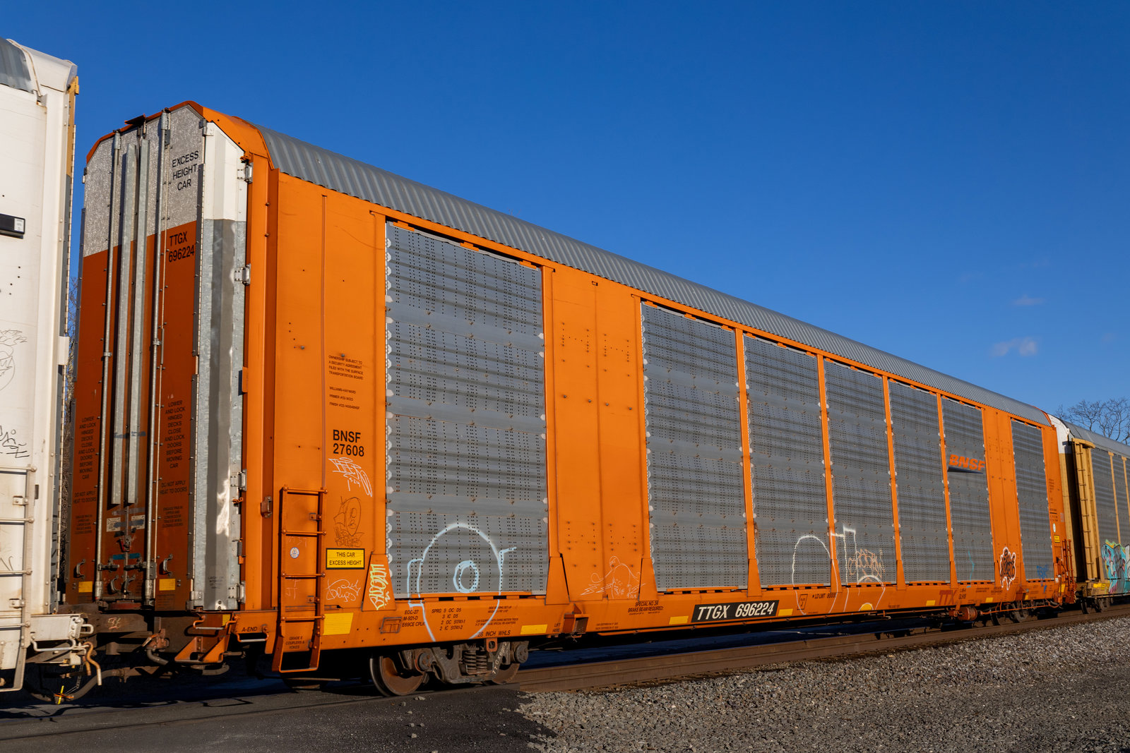 TTGX 696224