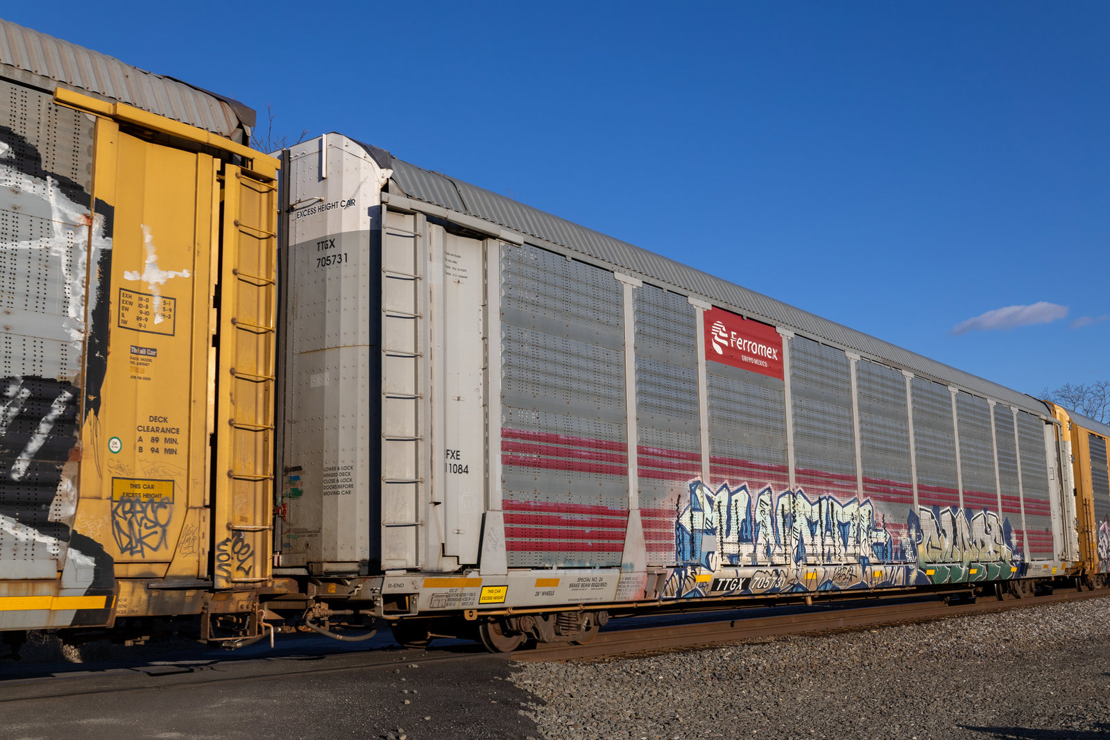 TTGX 705731