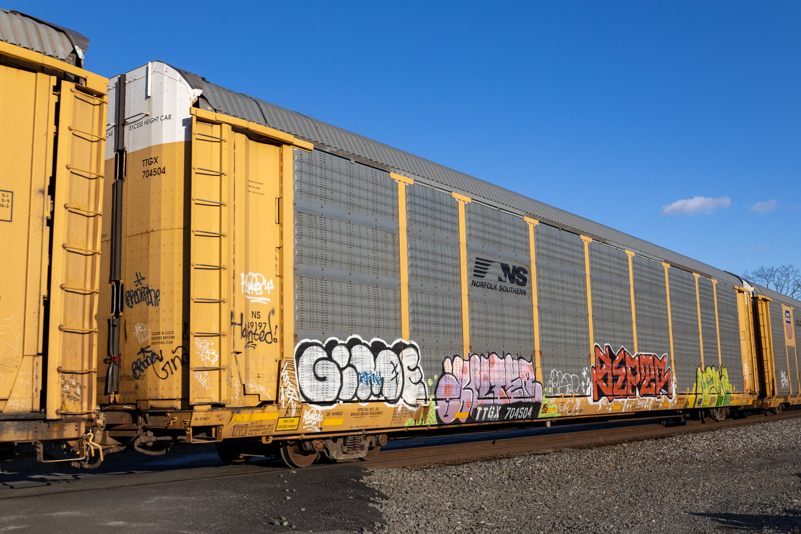 TTGX 704504