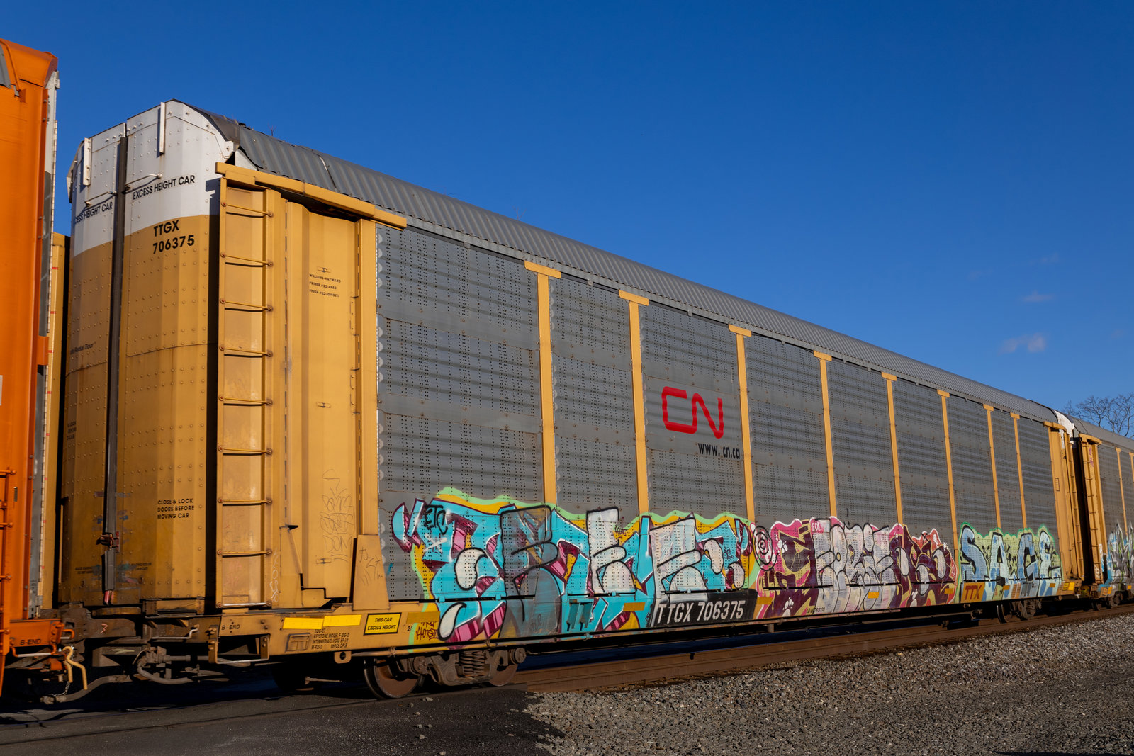 TTGX 706375