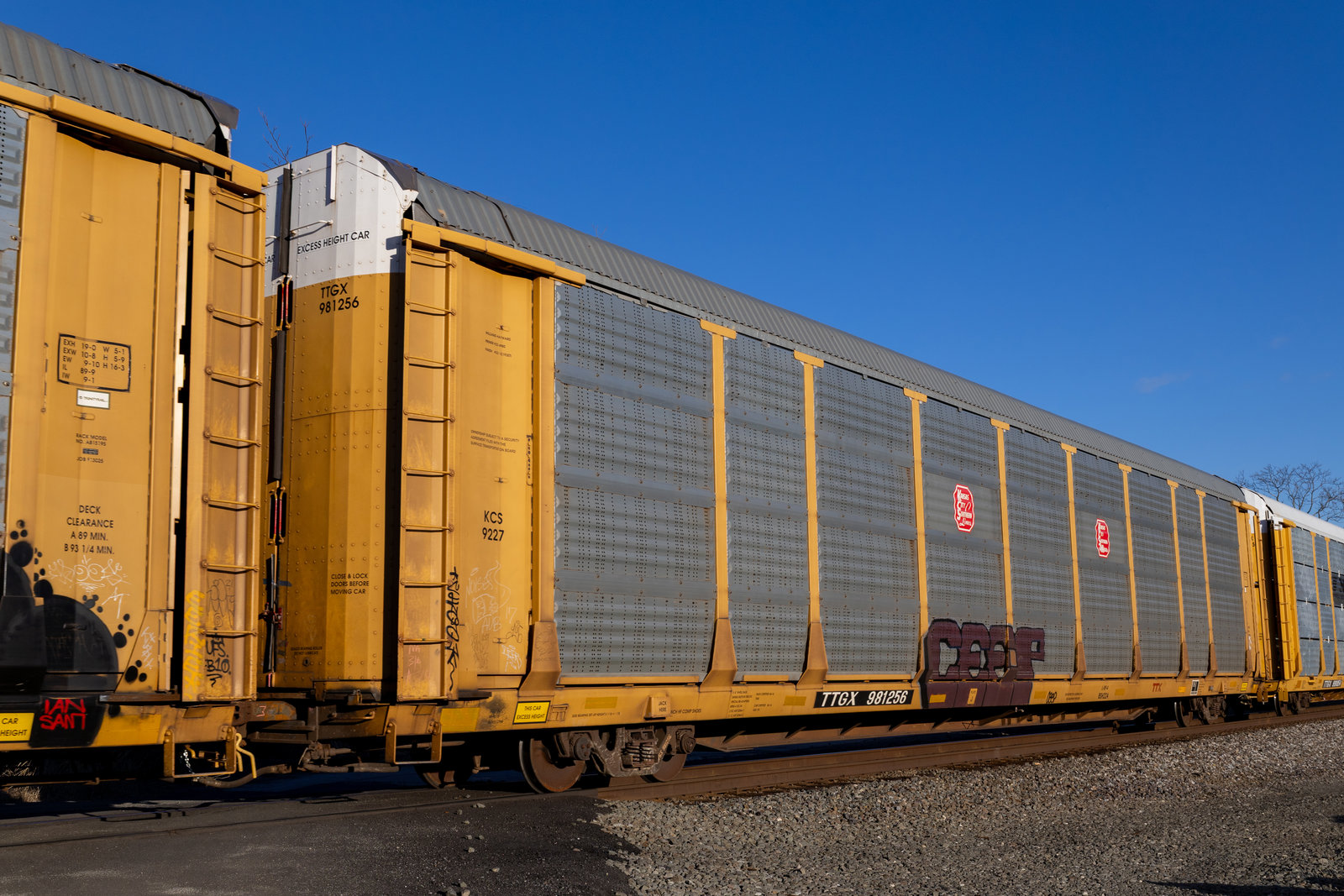 TTGX 981256