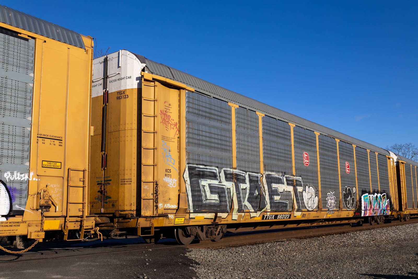 TTGX 983123