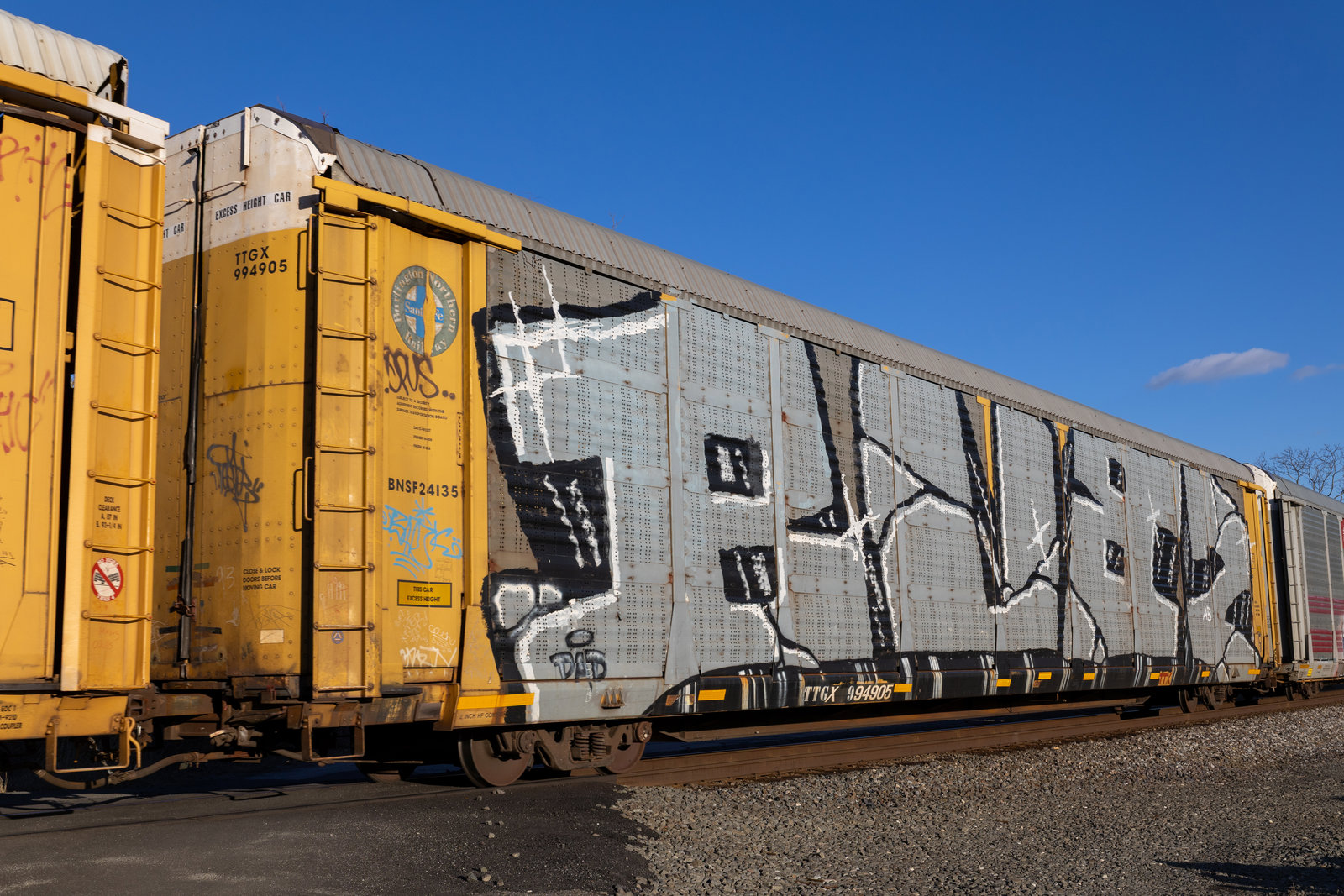 TTGX 994905