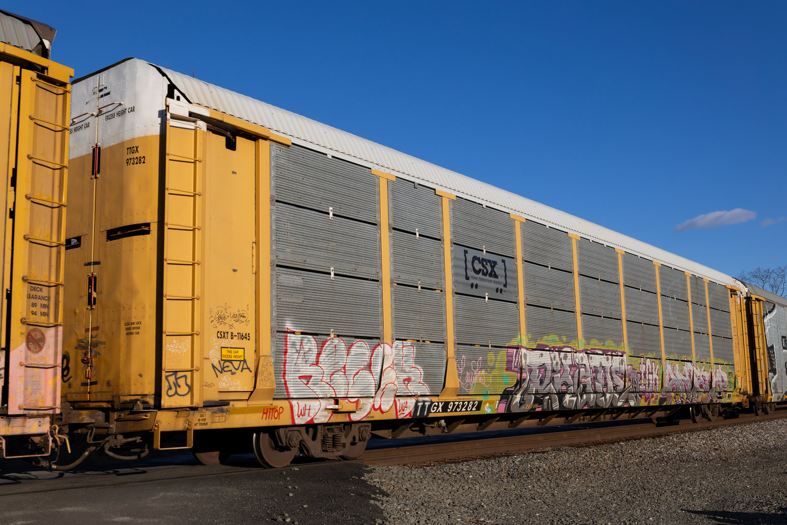TTGX 973282