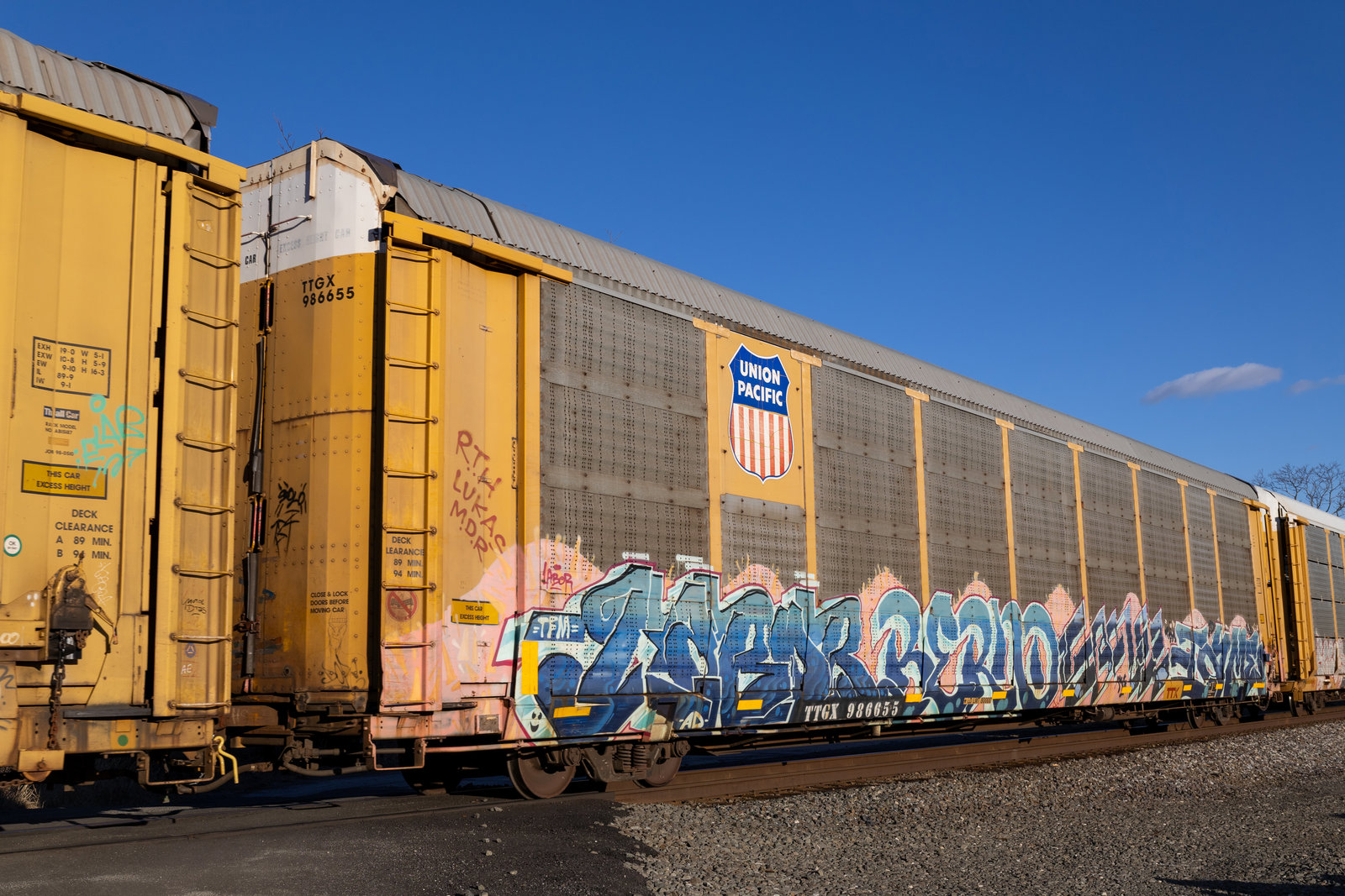 TTGX 986655