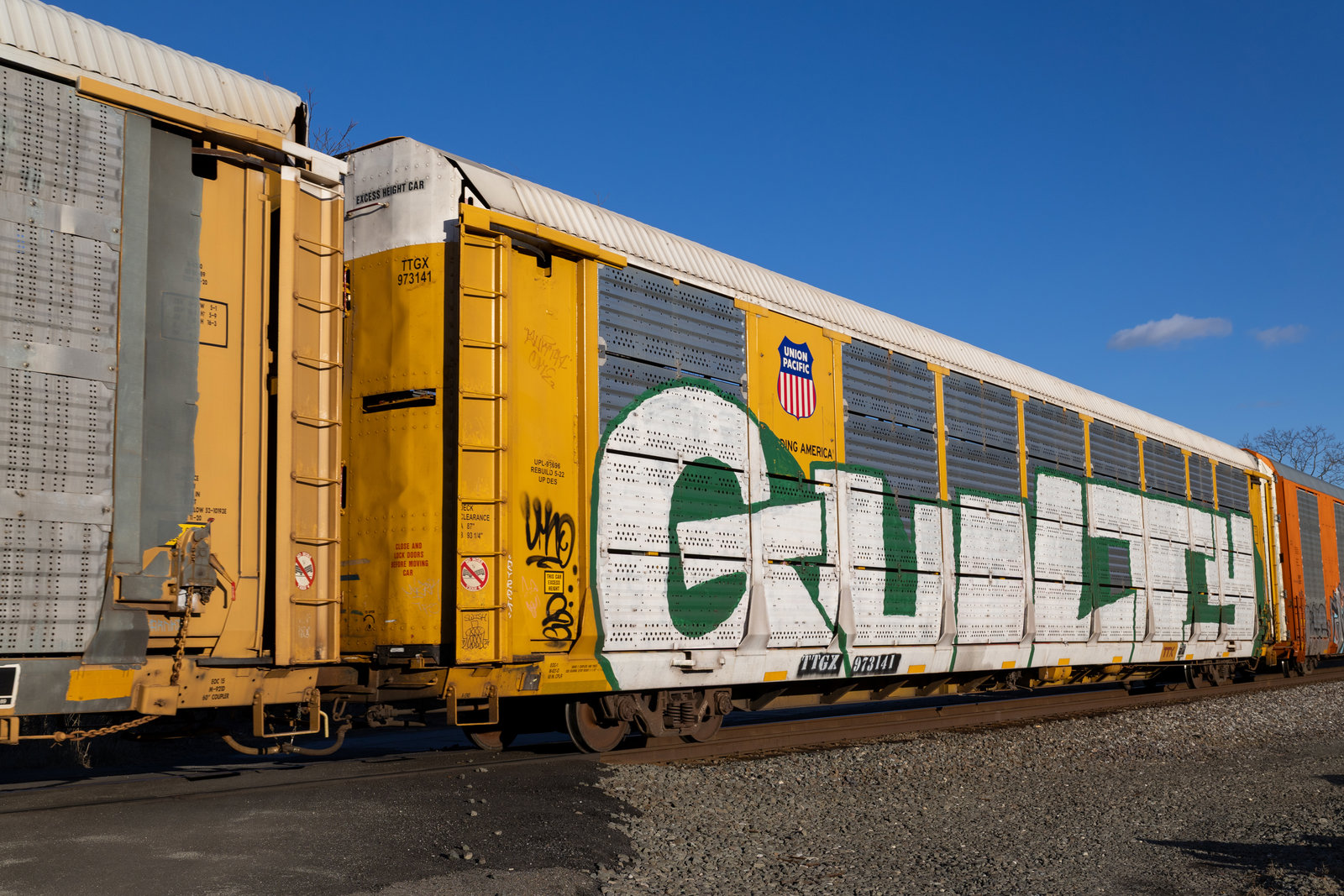TTGX 973141