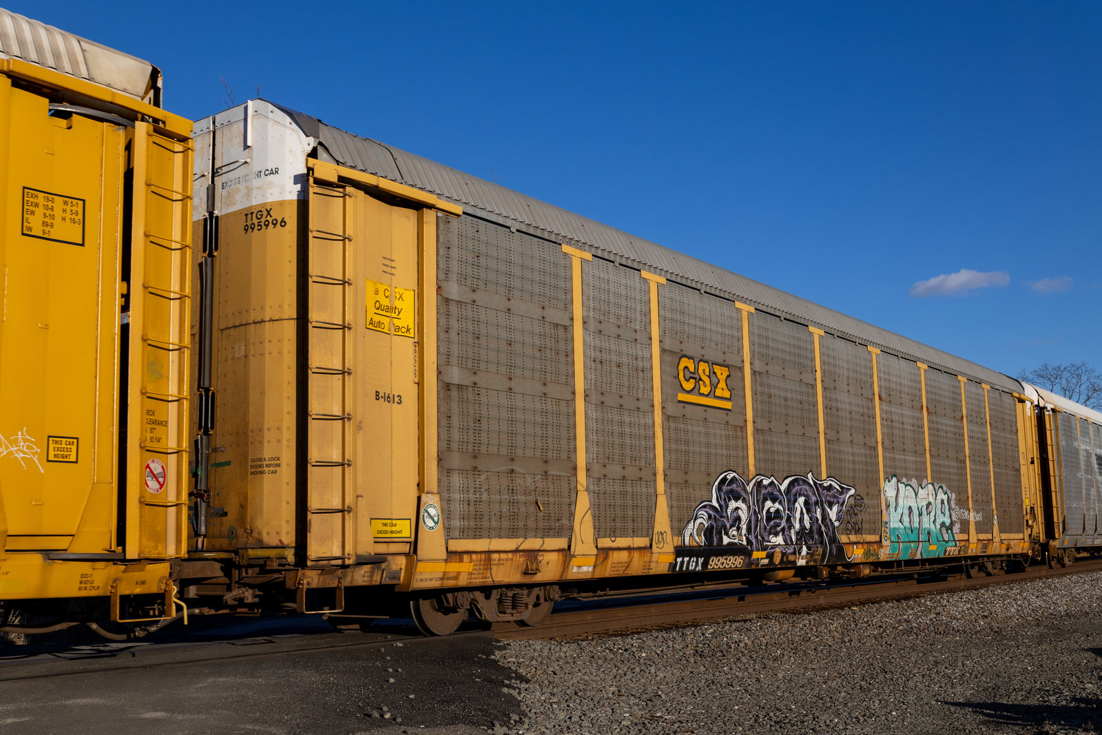 TTGX 995996