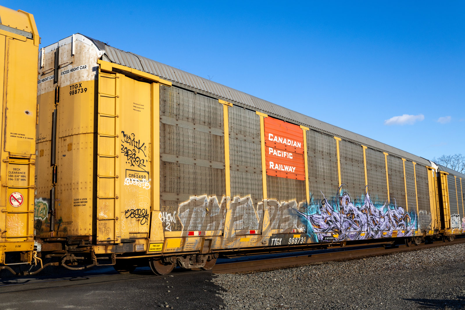 TTGX 988739