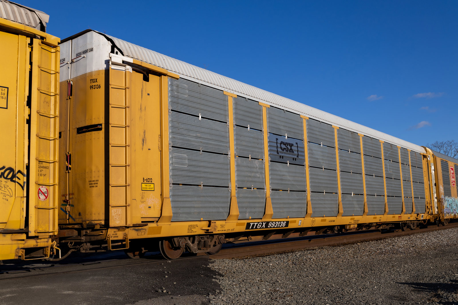 TTGX 993136
