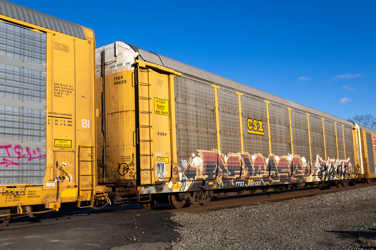 TTGX 992133