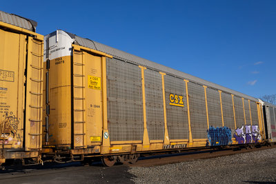 TTGX 988175