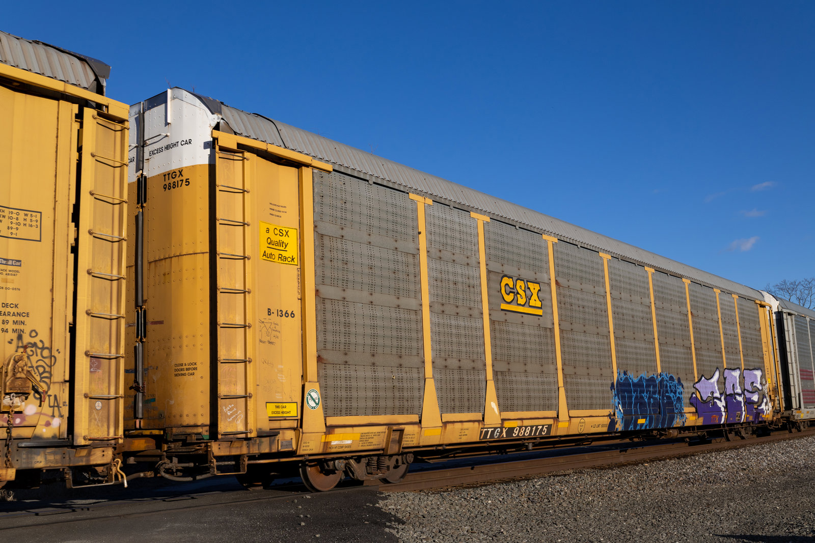 TTGX 988175
