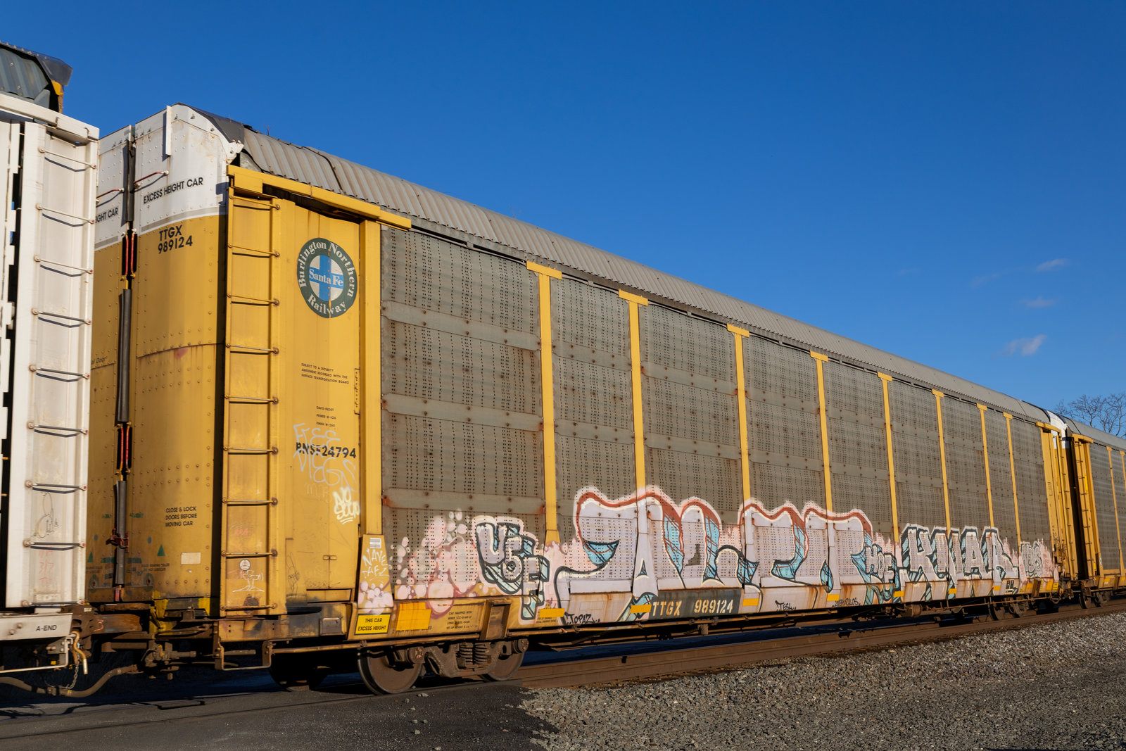 TTGX 989124