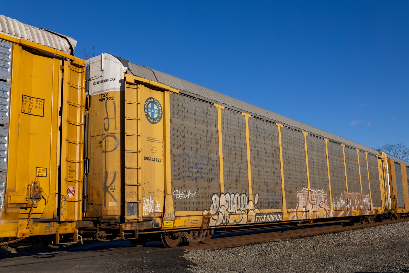 TTGX 989092
