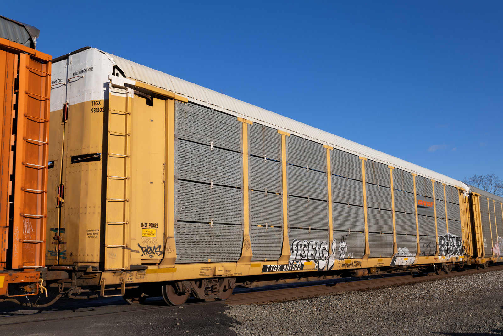 TTGX 981503