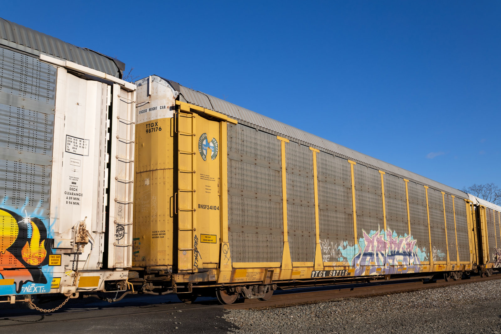 TTGX 987176