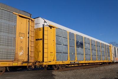 TTGX 991854