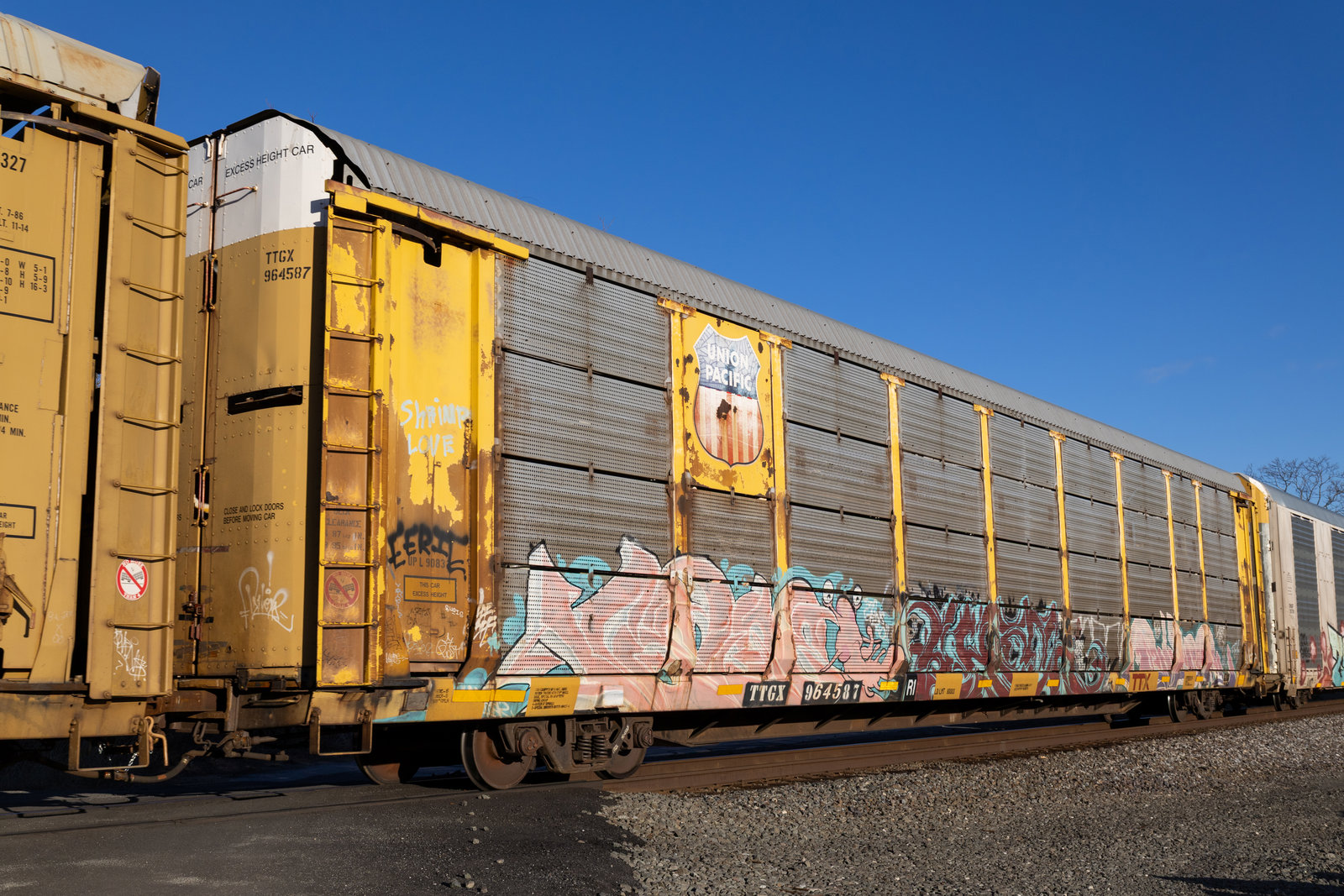 TTGX 964587