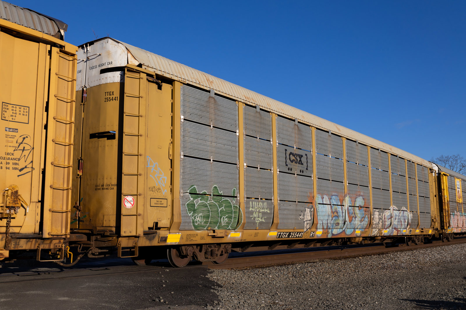 TTGX 255441