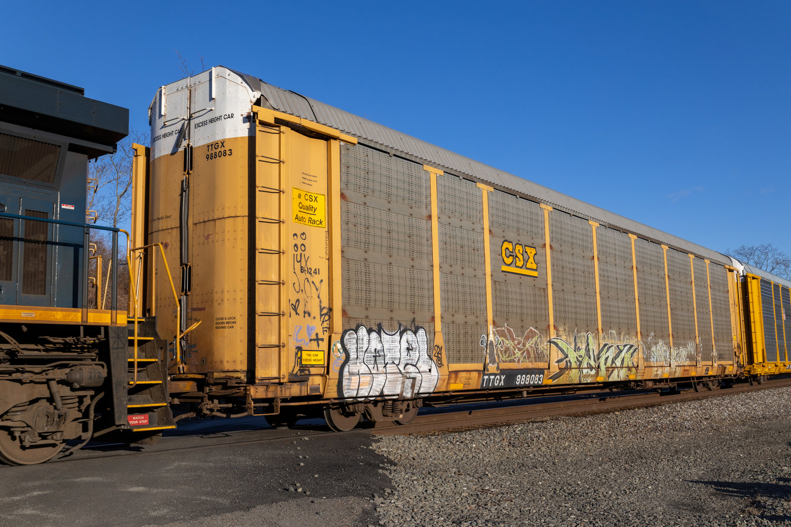 TTGX 988083