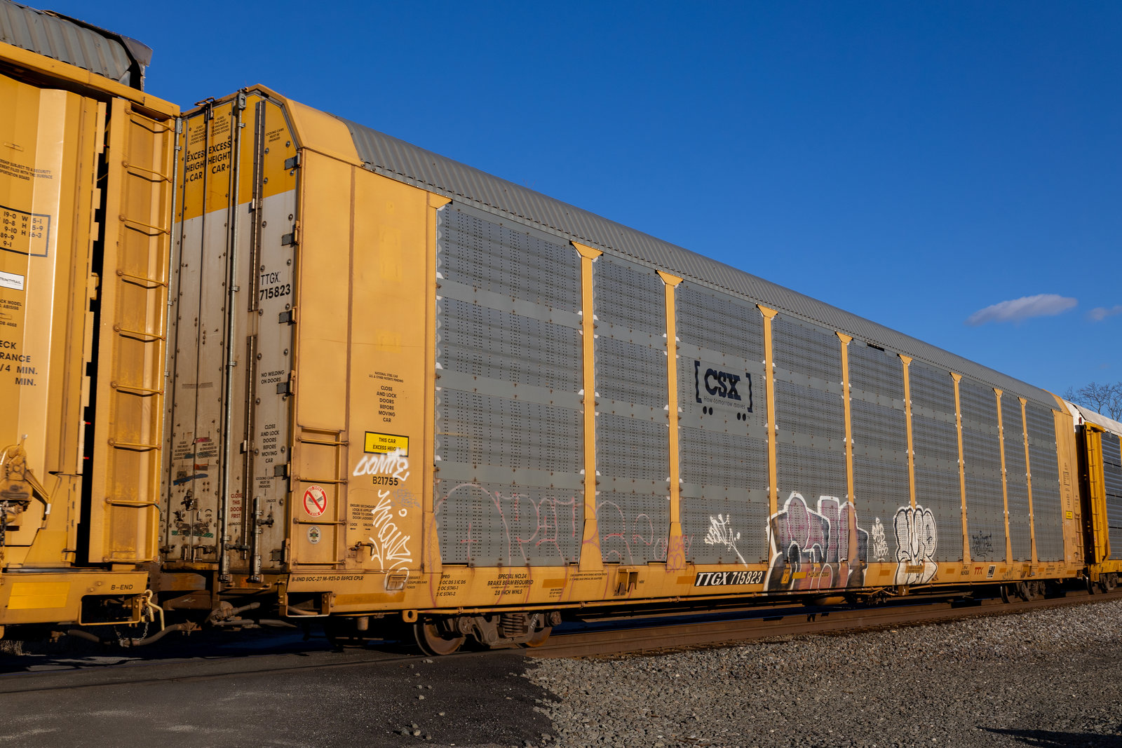 TTGX 715823