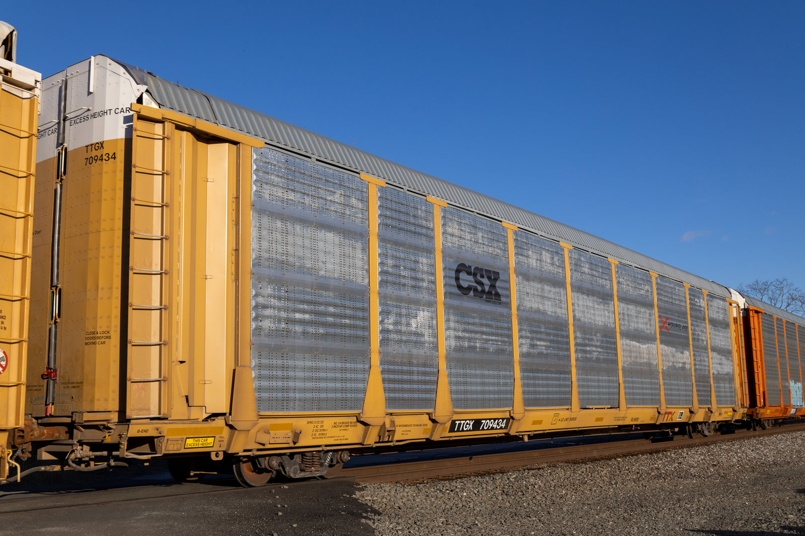TTGX 709434