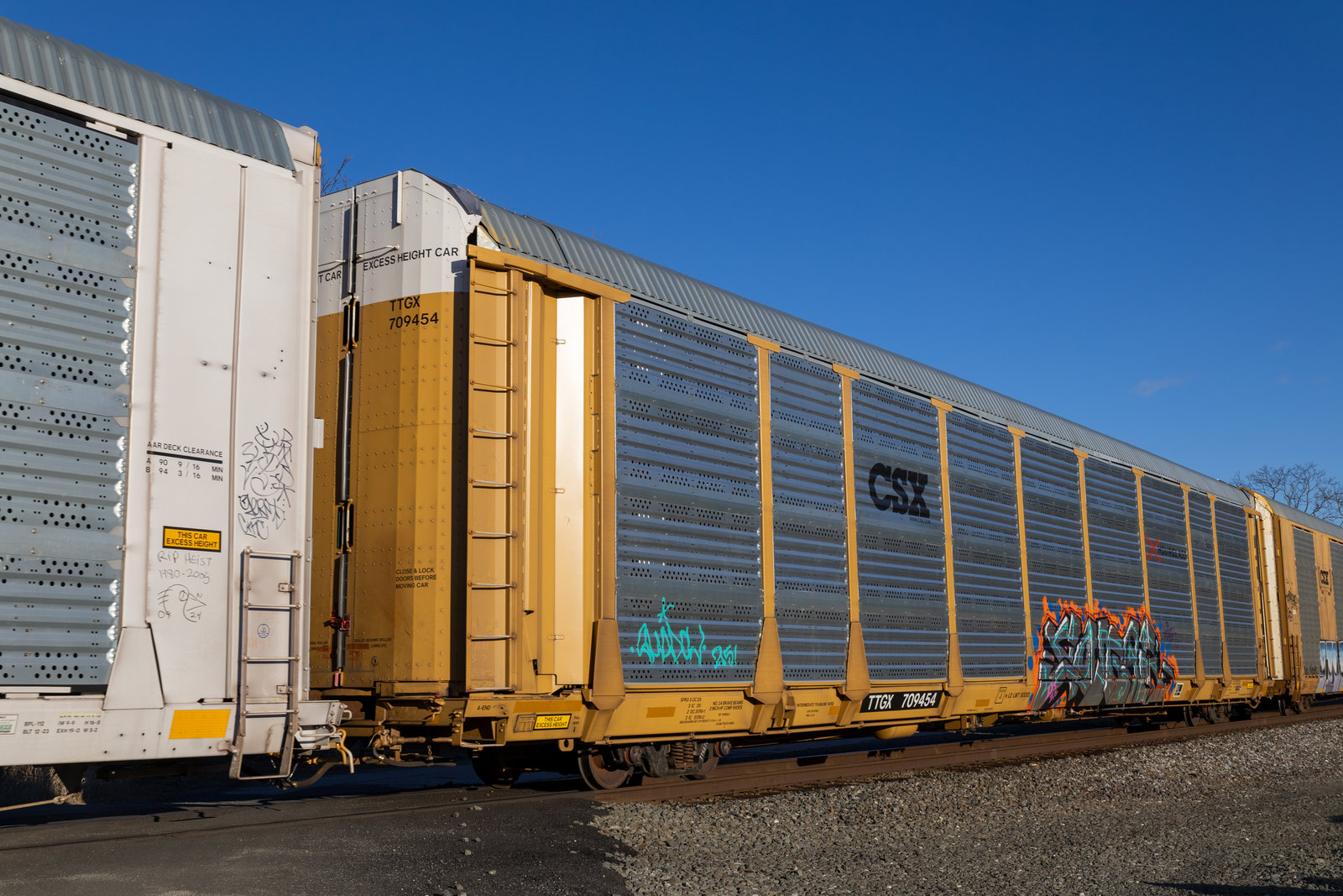 TTGX 709454