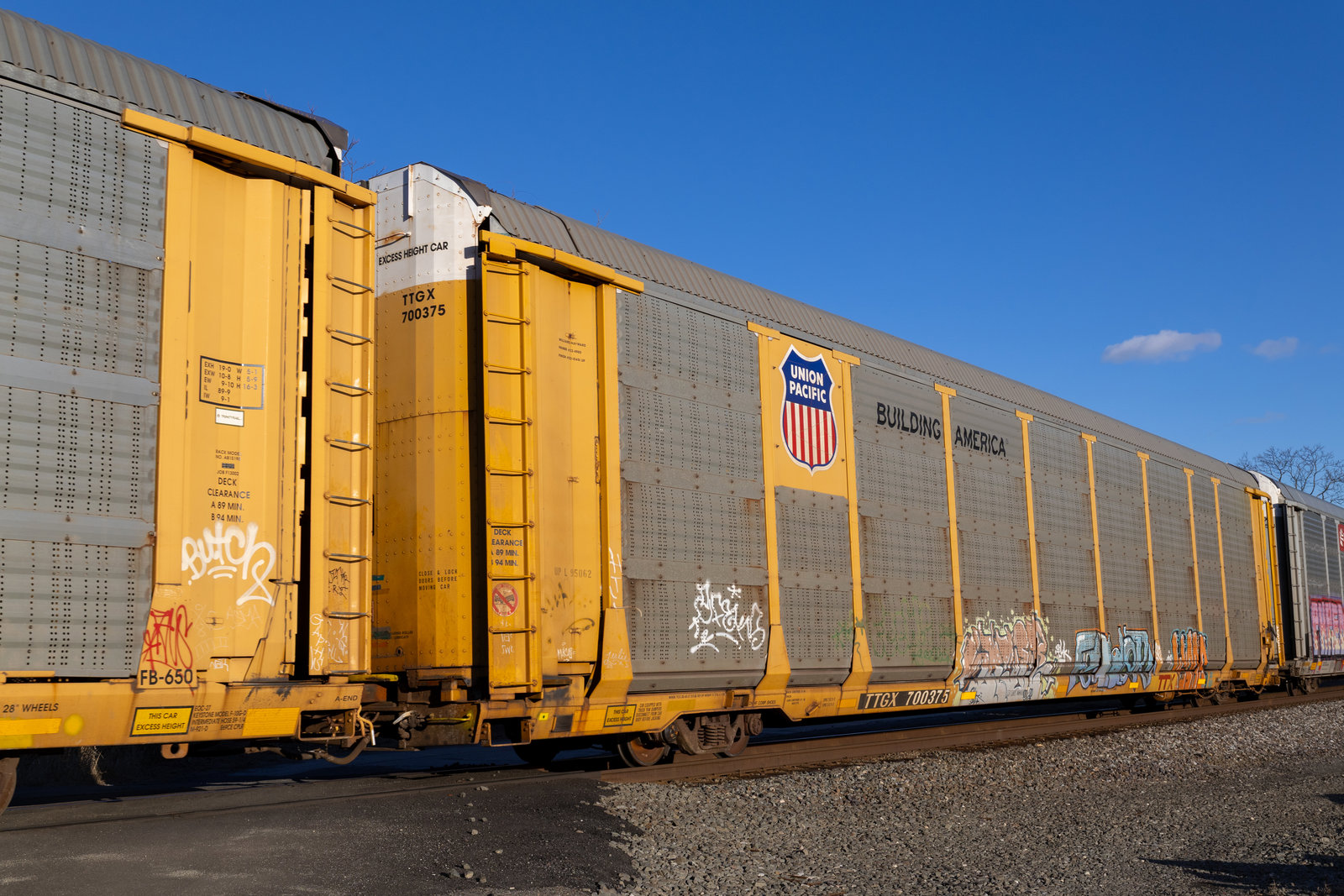 TTGX 700375