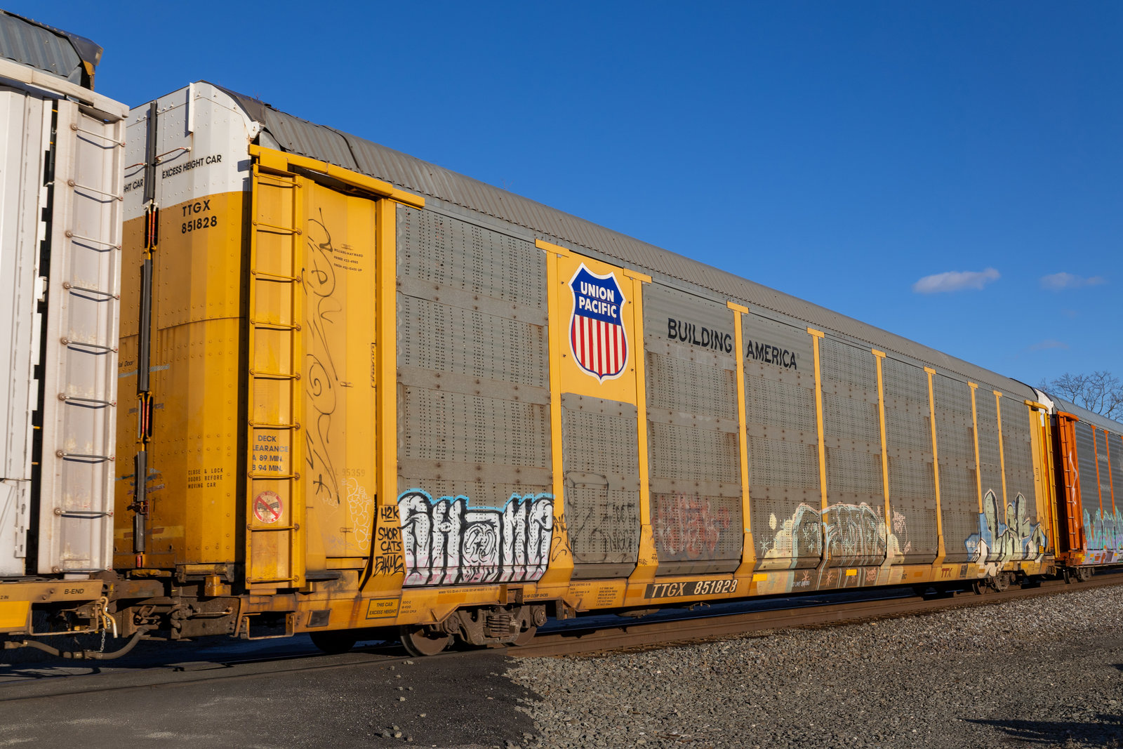 TTGX 851828
