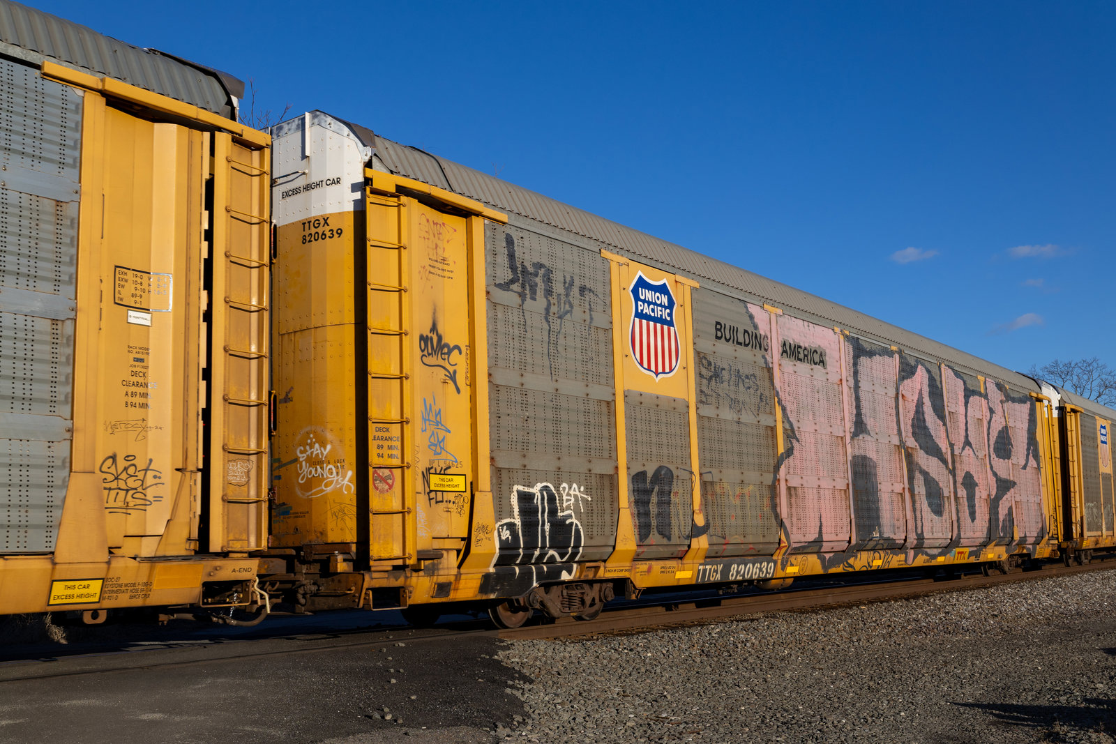 TTGX 820639